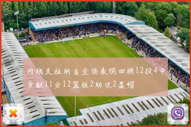 内线支柱纳吉全场表现回顾12投4中贡献11分12篮板2助攻2盖帽